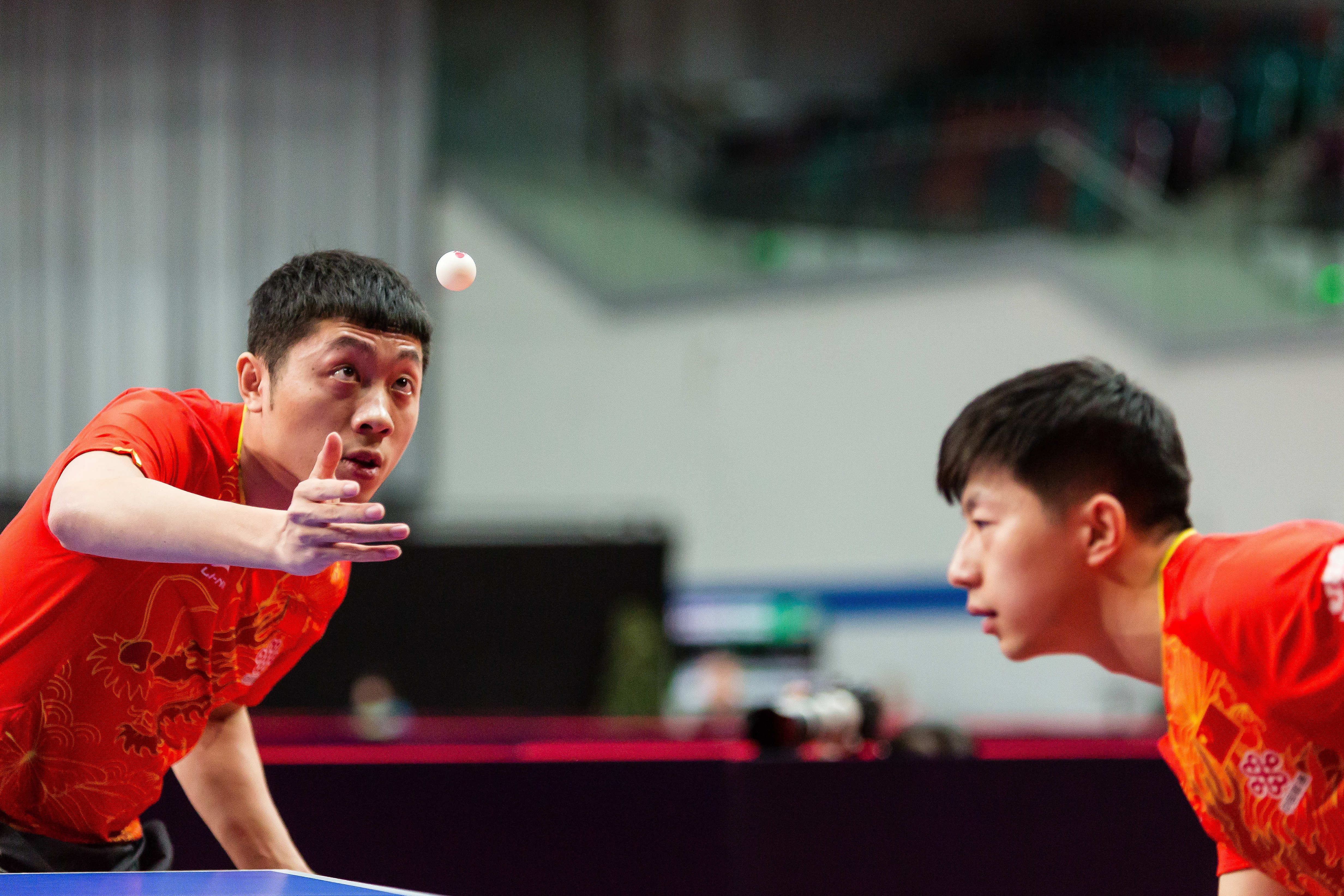 包含法国乒乓球队鏖战比利时乒乓球队，许昕高光表现的词条