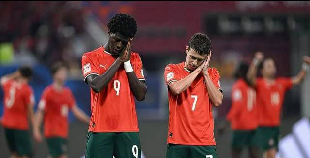 葡萄牙队逆转奥地利队，奥恰洛夫关键制胜的简单介绍