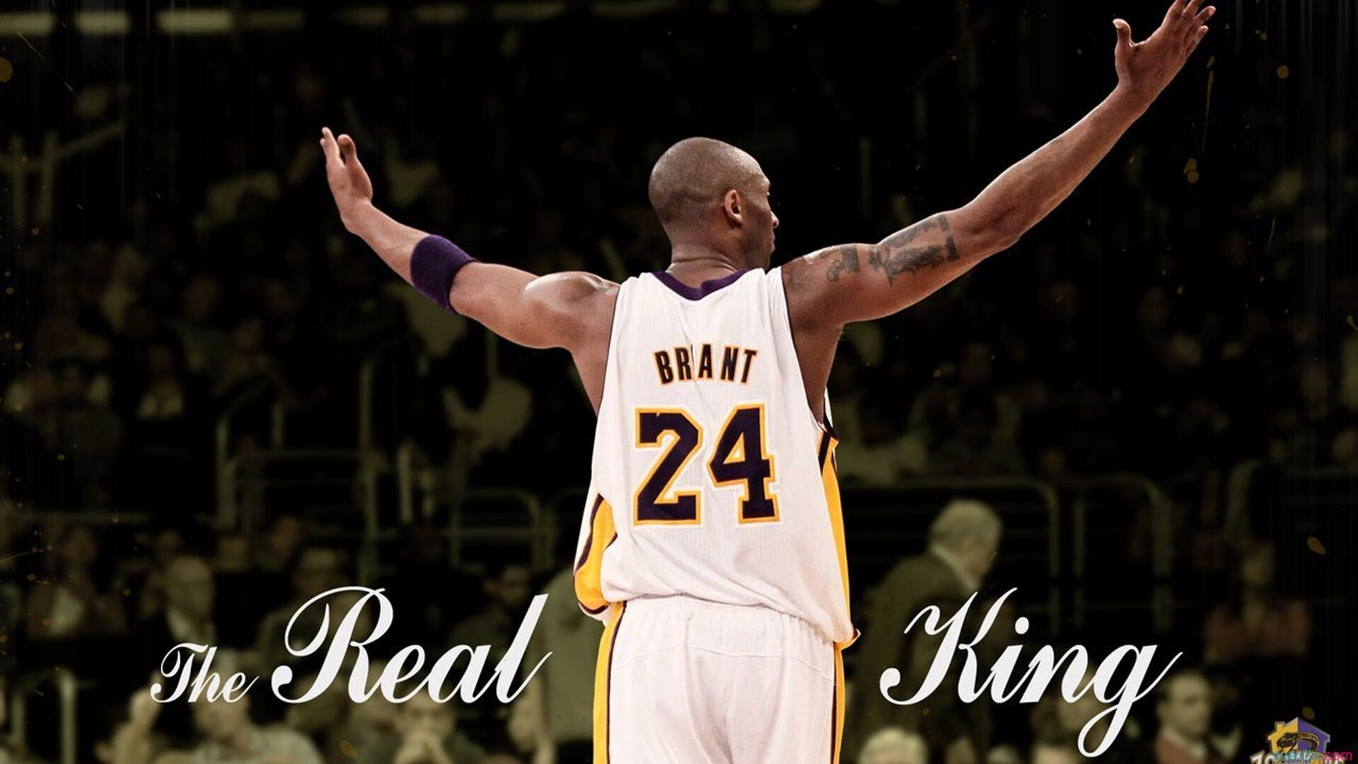 绝境之火，伦纳德关键一击，热火逆袭火箭启示录